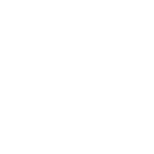 Valvian